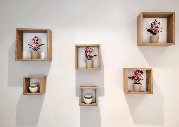 Alfa Home